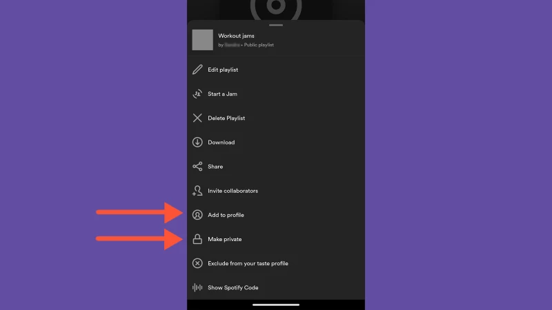 Spotify 選單顯示播放清單的隱私設定。