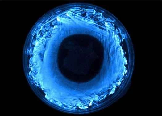 細菌驅動的燈泡