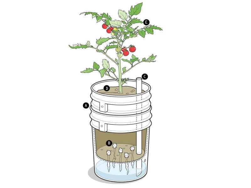 打造一個可以隨身攜帶的DIY花園