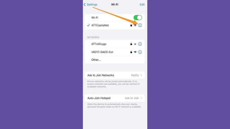 iOS WiFi 設定畫面,顯示查看 WiFi 密碼的按鈕位置。