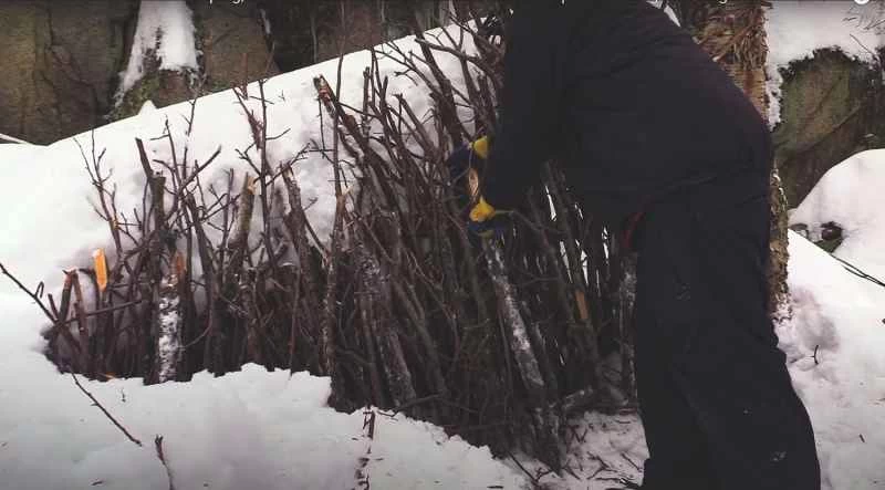 雪地裡用樹皮覆蓋的簡易棚屋