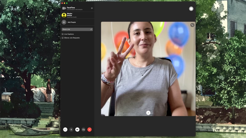 在 FaceTime 上使用動畫手勢的人