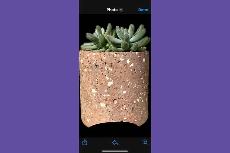iPhone 照片應用程式中，主體已從照片中分離出來。