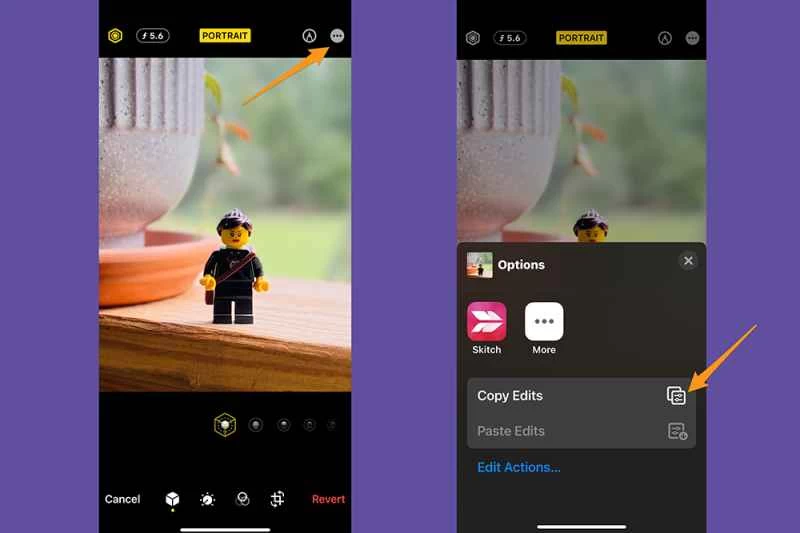 iPhone 照片應用程式處於編輯模式，示範如何從一張照片複製編輯效果。