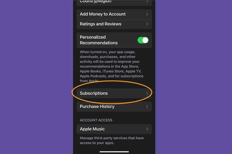 iOS 設定應用程式，其中「訂閱」選項已高亮顯示。