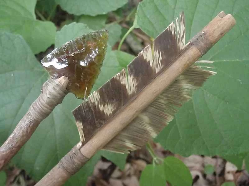 用樹枝製成，配上羽毛箭羽和玻璃箭頭的訂製弓。