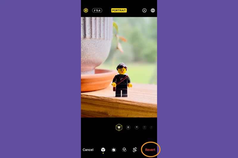 iPhone 照片應用程式處於編輯模式，示範如何還原任何照片的變更。