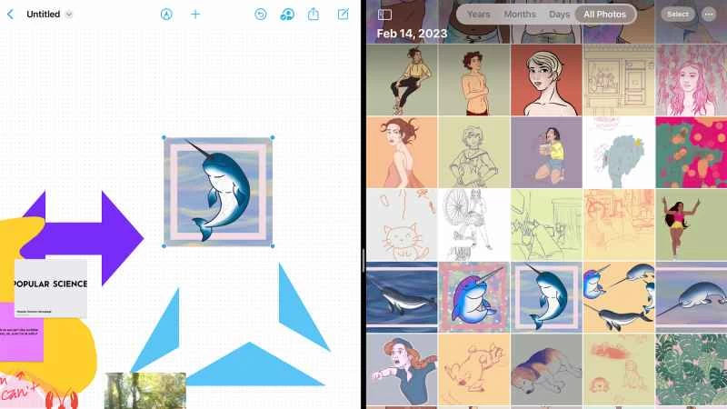 這是蘋果 Freeform 應用與蘋果照片應用在分割畫面視圖中配合使用的螢幕截圖。