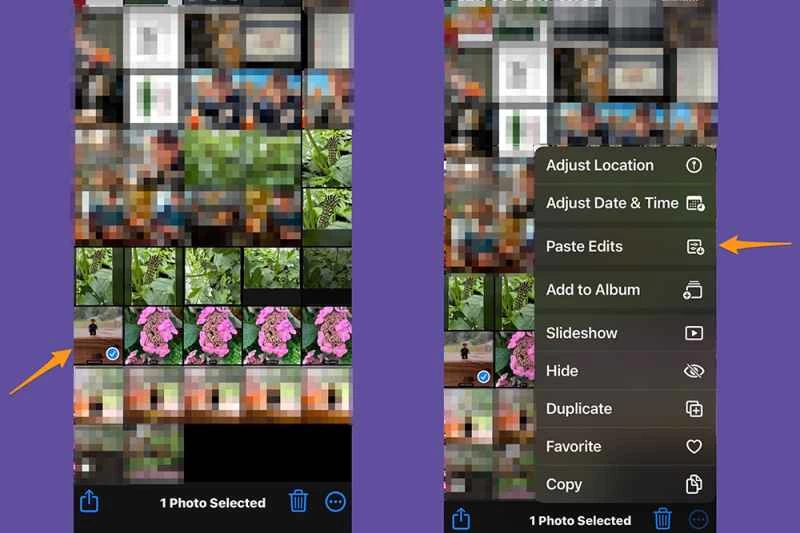 iPhone 照片應用程式示範如何將編輯內容貼到圖庫中的多張照片。
