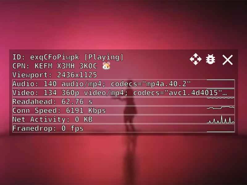 YouTube Music 的極客統計數據