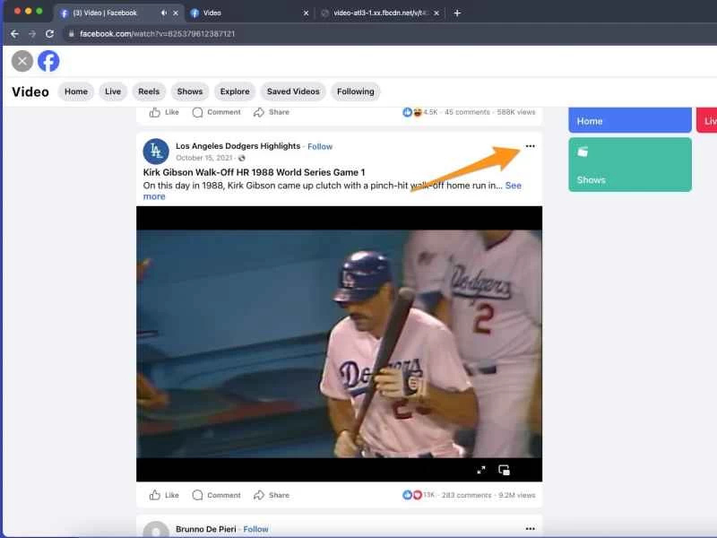 Facebook 上的一個版塊，展示了棒球運動員柯克·吉布森在 1988 年世界大賽第一場比賽中為洛杉磯道奇隊擊出著名的再見本壘打的視頻。