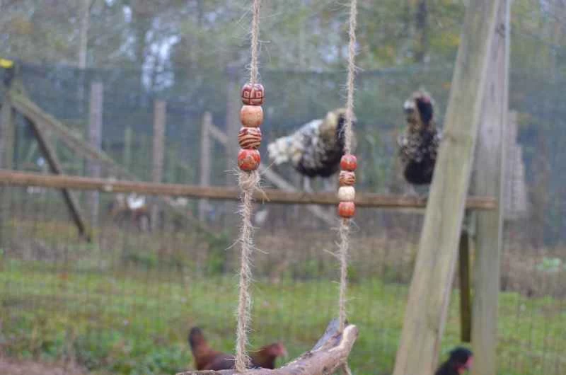 自製小雞鞦韆上串有八顆彩色珠子(每串四顆)。