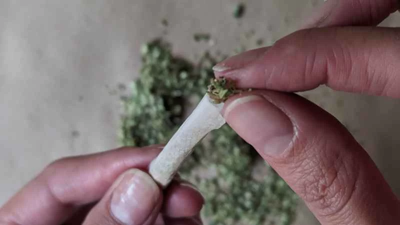 一隻手拿著大麻菸捲，另一手往裡面塞更多的大麻。