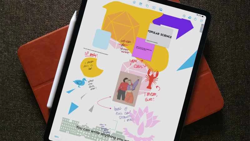 五種方法幫助你輕鬆上手 Freeform，這款蘋果公司創意人士的應用