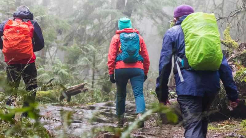 如何在雨中健行時保持乾爽和安全