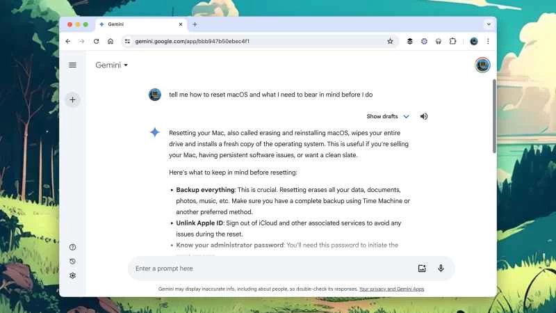 Google Gemini 重置 macOS 說明的螢幕截圖
