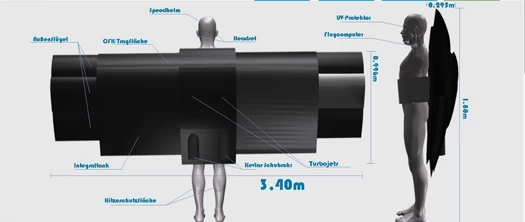 禿鷹造型的翅膀