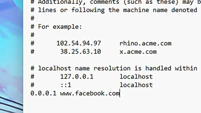 主機檔案文字的螢幕截圖