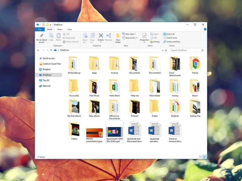 在 Windows 電腦上開啟的 Microsoft OneDrive 資料夾，顯示雲端儲存中的備份檔案。