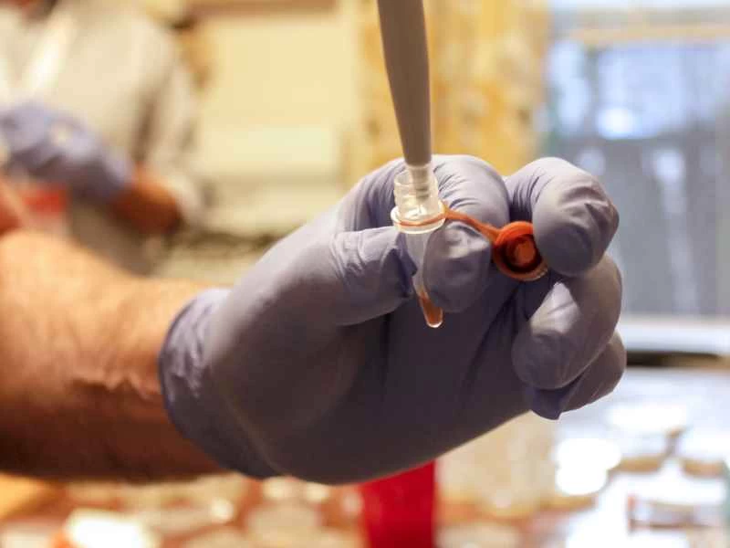 2015年西南偏南音樂節：我在別人家廚房裡一邊喝啤酒一邊重新編程了一個生命體