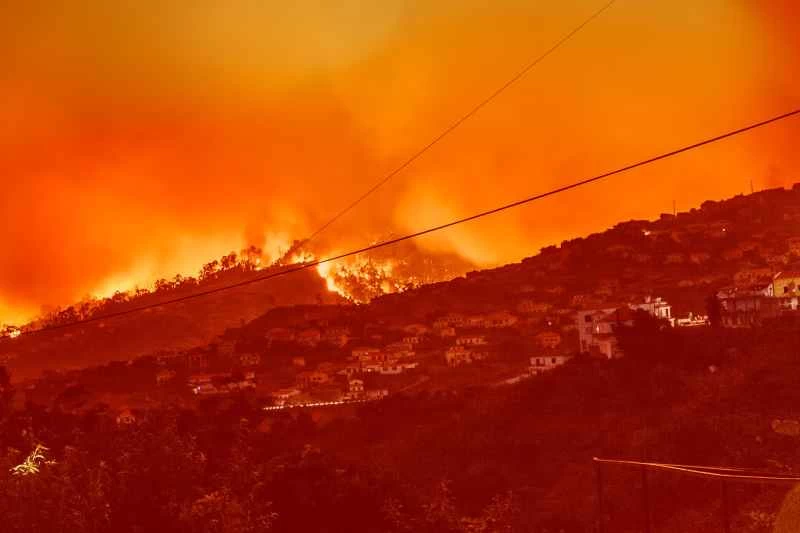 野火可能會襲擊你的家鄉。以下是一些應對措施。