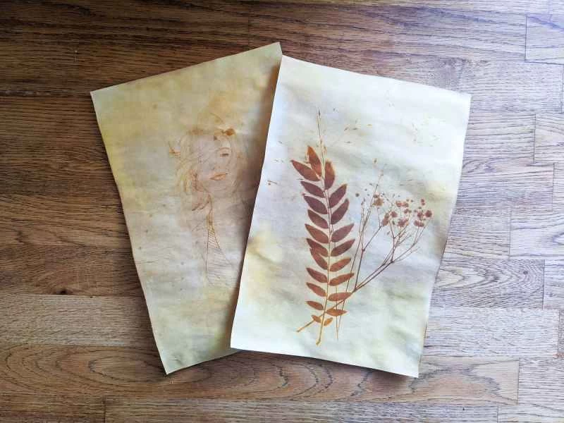 用薑黃、陽光和19世紀的攝影技巧為你的藝術作品增添色彩