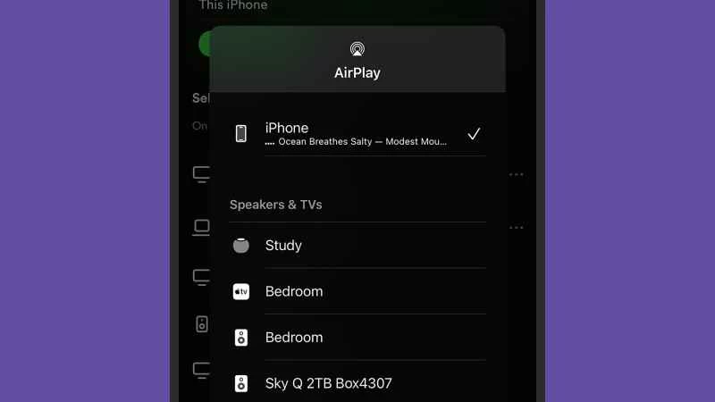 AirPlay 是讓 HomePod 播放音樂的方法。
