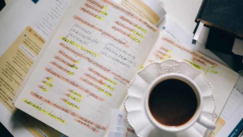 你應該同時學習兩種語言。