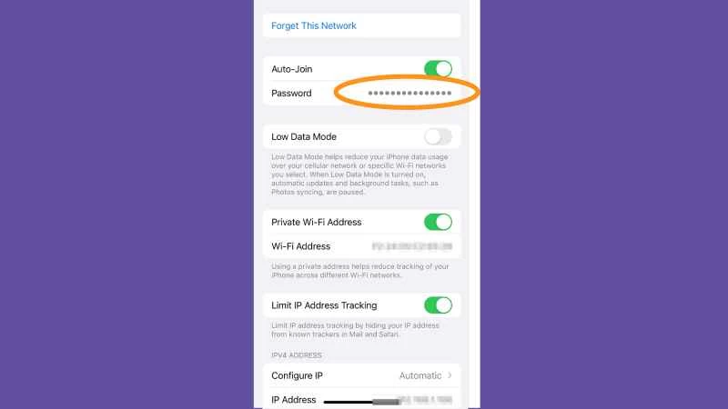 iPhone 的設定應用，顯示在哪裡可以找到 WiFi 密碼。