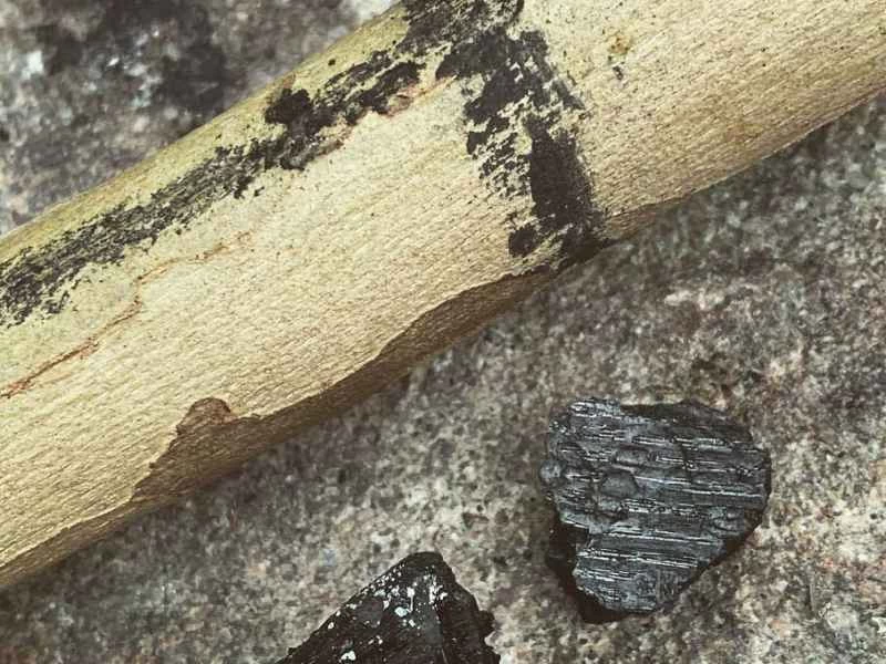 一根木棍上刻著炭筆畫的線條。