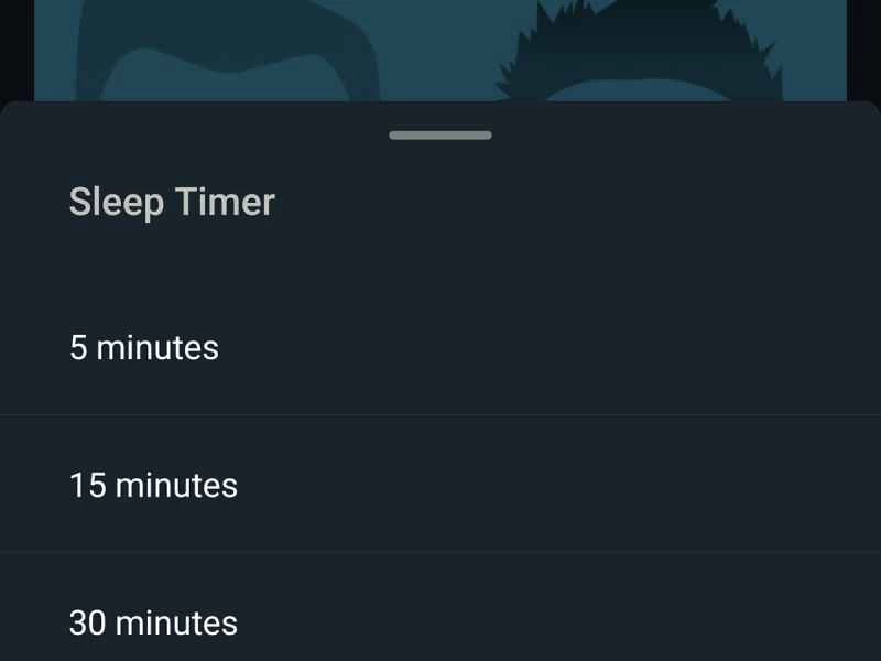 Pocket Casts 中計時器選項的螢幕截圖