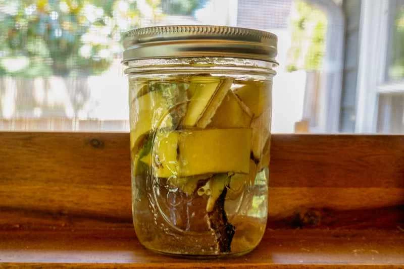 一罐水中放著一根香蕉皮