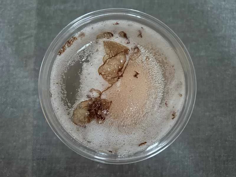 一層薄膜靜置於裝有白醋的塑膠杯中。