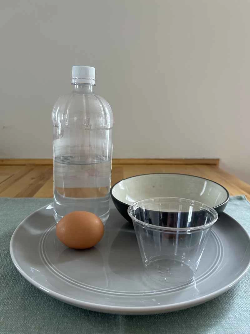 一瓶白醋、一個棕色雞蛋、一個透明塑膠立方體和一個淺碗放在一個灰色圓形盤子上。
