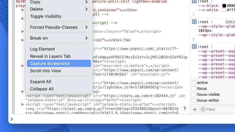 Safari 瀏覽器中「截圖」選單選項的螢幕截圖