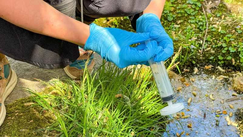 普通旅行者如何成為公民科學家