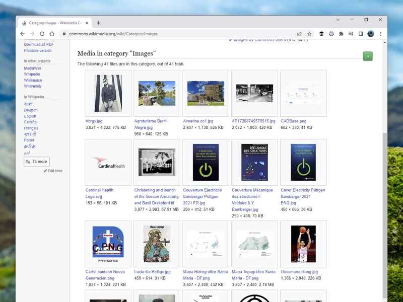 維基共享資源介面,用於為維基百科文章添加圖像。