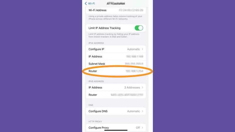 iOS WiFi 設置,顯示如何尋找路由器的 IP 位址。