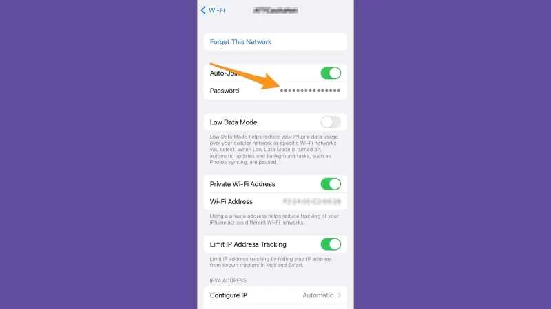 iOS WiFi 設定頁面,顯示如何找到已連接網路的 WiFi 密碼。