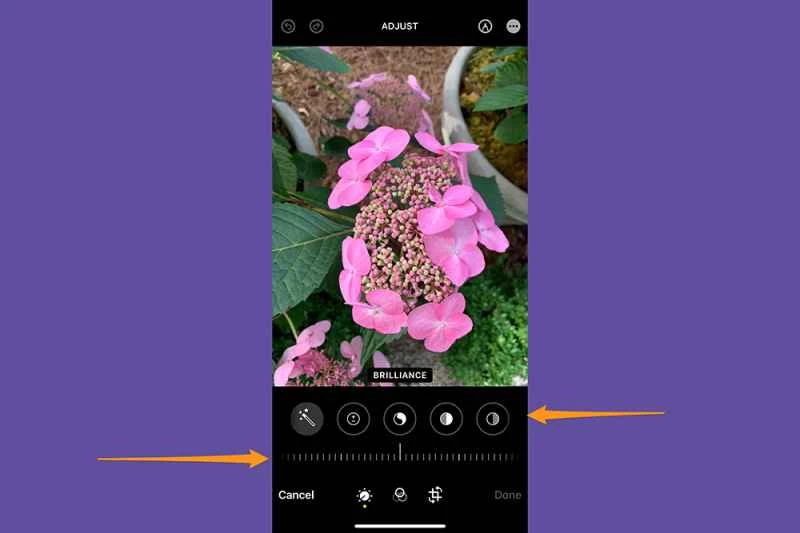 iPhone 照片應用程式處於編輯模式，顯示所有用於調整照片光線和色彩效果的編輯工具的位置。