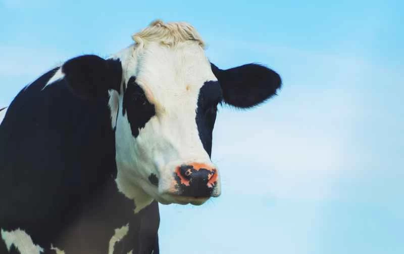 準備好迎接「無紅色十月號」吧！