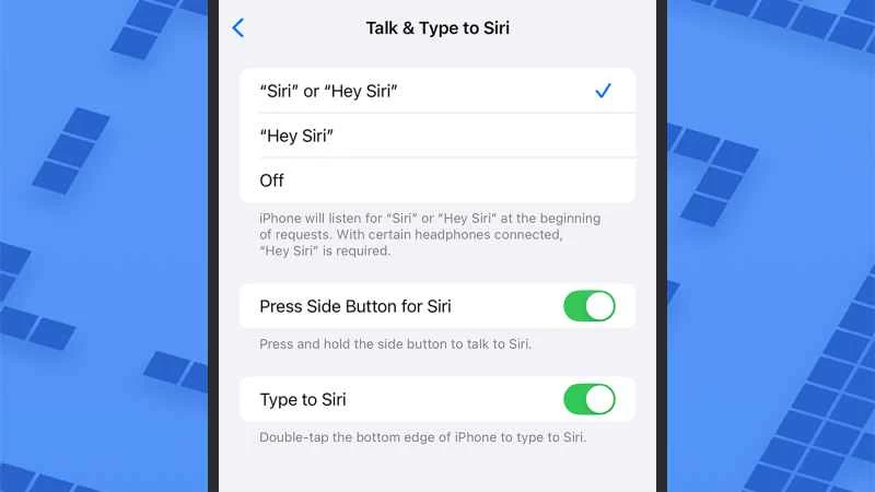 iOS 上 Siri 語音和文字設定選項的螢幕截圖