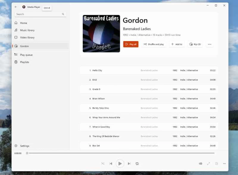 Windows Media Player 中用於翻錄 CD 的選項