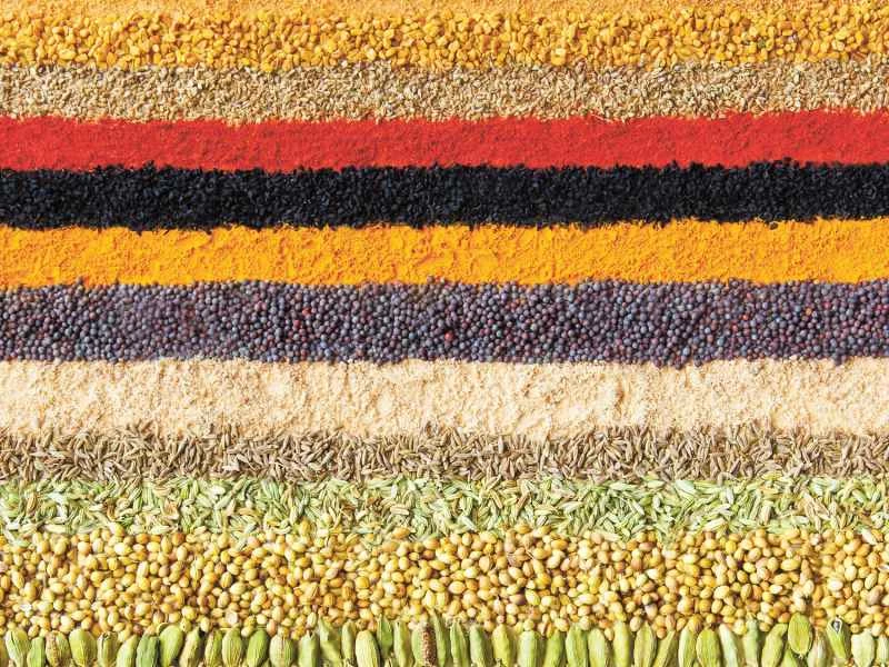 按顏色分類的常見印度香料合集