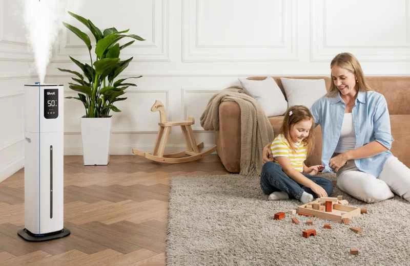 加濕器與除濕器：它們的工作原理以及你需要什麼