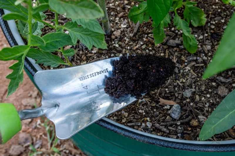 植物附近，金屬鏟子上沾著咖啡渣。