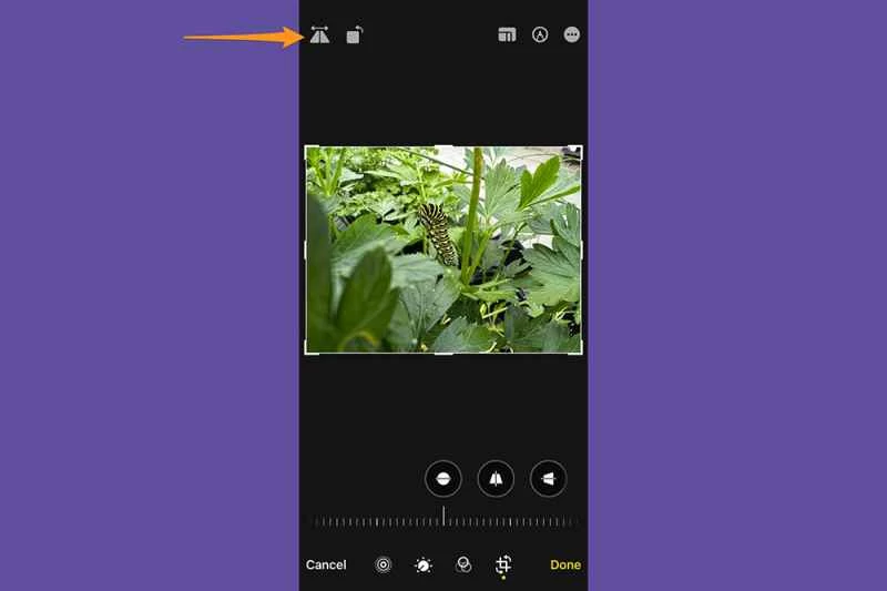 在 iPhone 照片應用程式中編輯照片時，會顯示鏡像翻轉選項的位置。