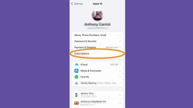 若要在 iPhone 或 iPad 上取消 Apple Music 訂閱，請點擊「訂閱」。
